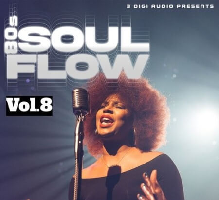 Innovative Samples 80's Soul Flow Vol.8 WAV